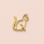 A Cat Charm